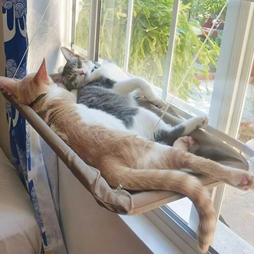 Elevated Cat Bed Hammock - Window Seat for Cats and Kittens, Supports Up to 20kg, Ideal for Winter Use